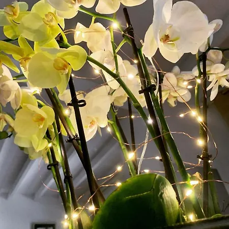 Apartment 45bb *